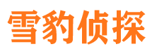 带岭侦探公司